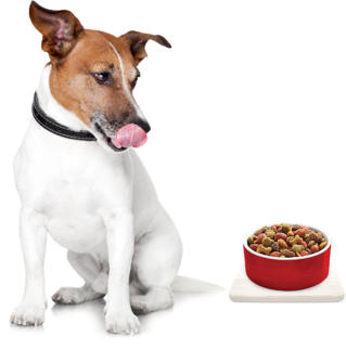 a dog licking its lips while looking at food bowl